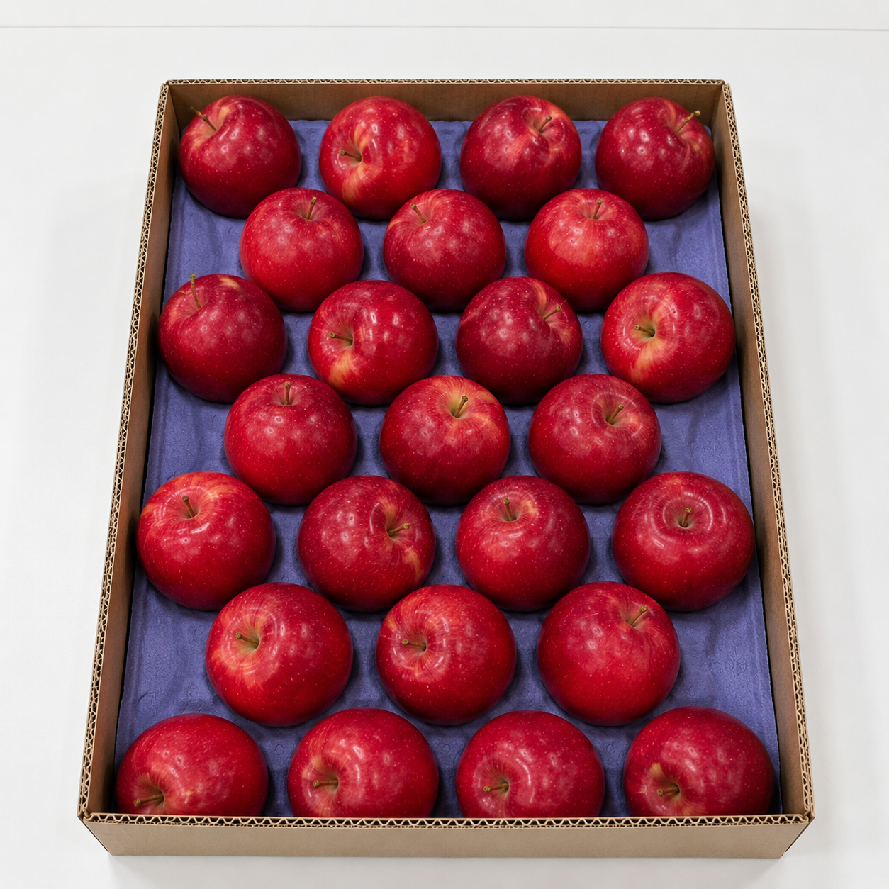 MANZANA RED DELICIOUS